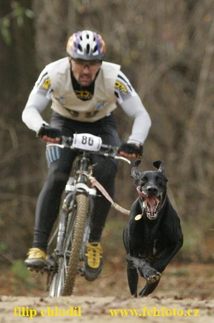 Bakonybel - 0264.JPG